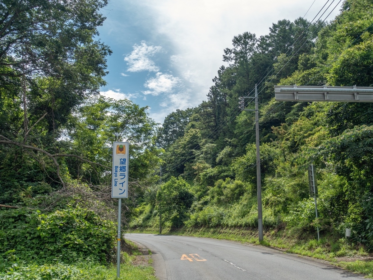 f:id:saetta0404:20190714184318j:plain f:id:saetta0404:20190714184318j:plain