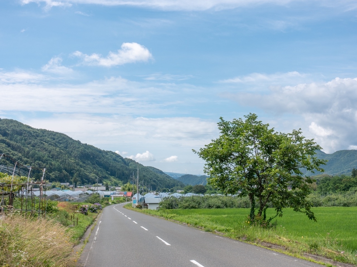 f:id:saetta0404:20190714185713j:plain f:id:saetta0404:20190714185713j:plain