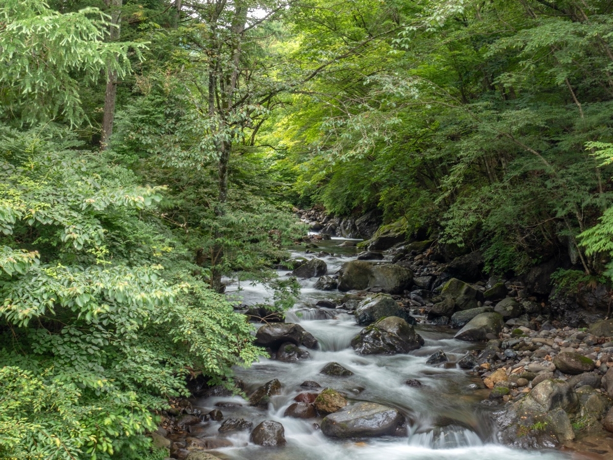 f:id:saetta0404:20190715044913j:plain f:id:saetta0404:20190715044913j:plain