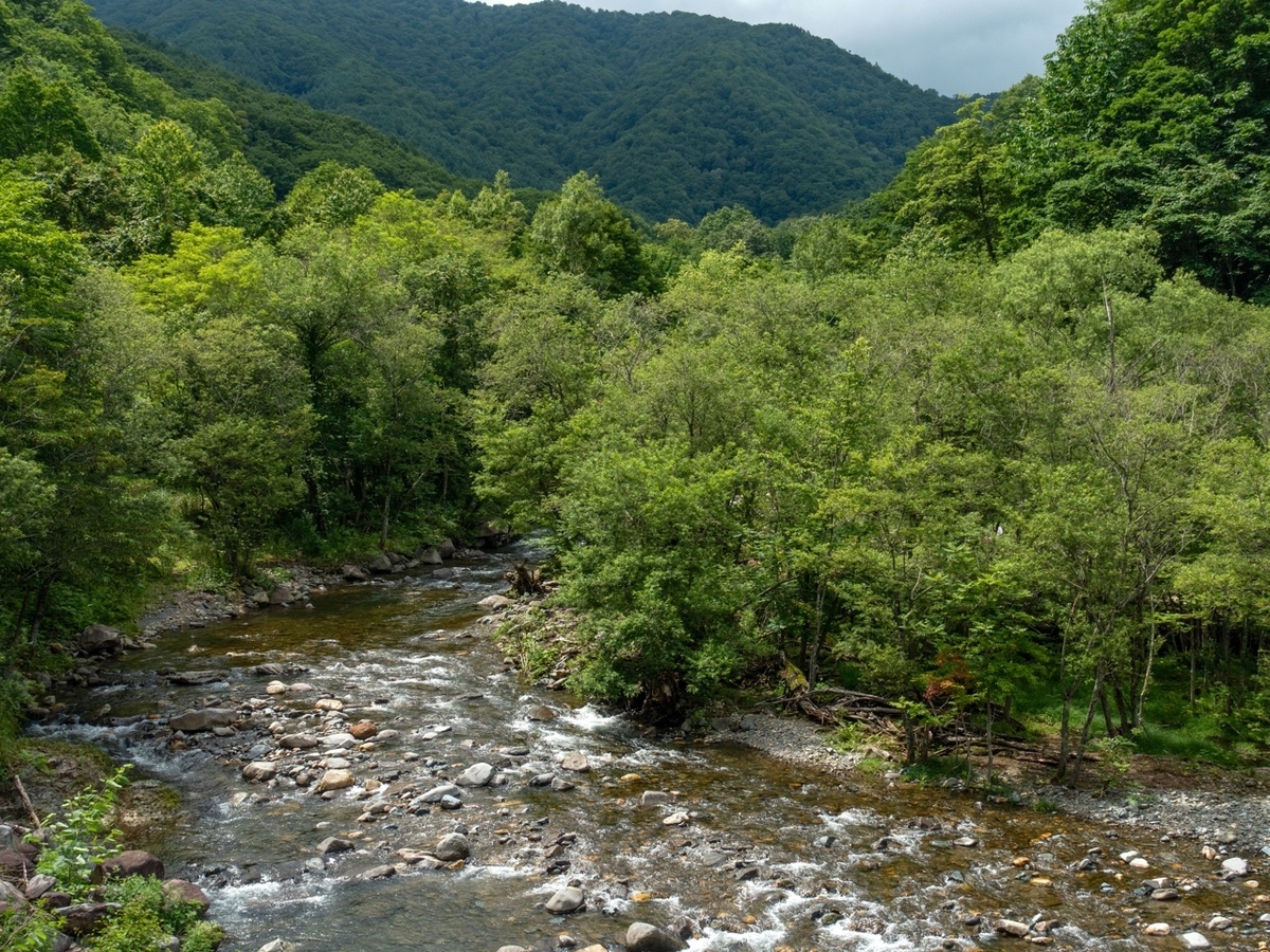 f:id:saetta0404:20190715050631j:plain f:id:saetta0404:20190715050631j:plain