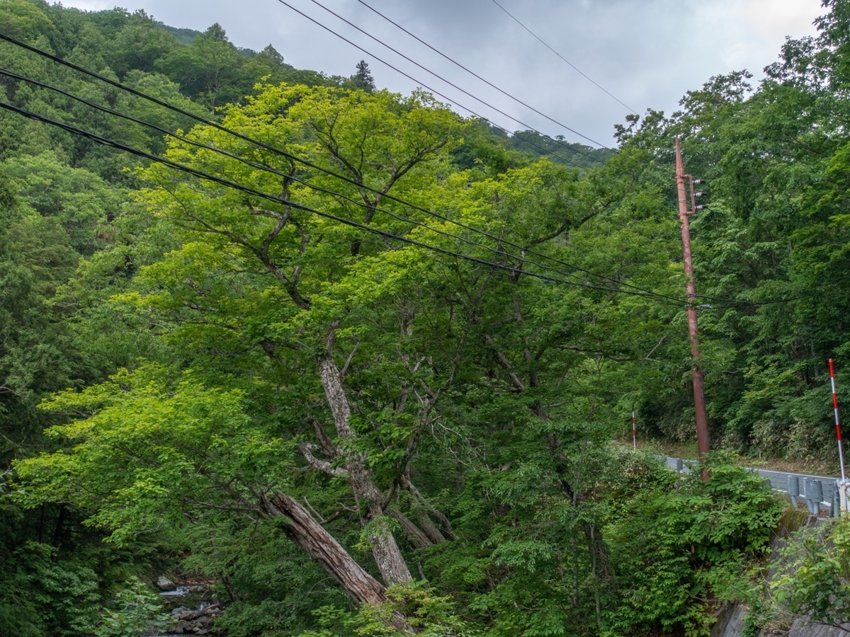 f:id:saetta0404:20190715050842j:plain f:id:saetta0404:20190715050842j:plain