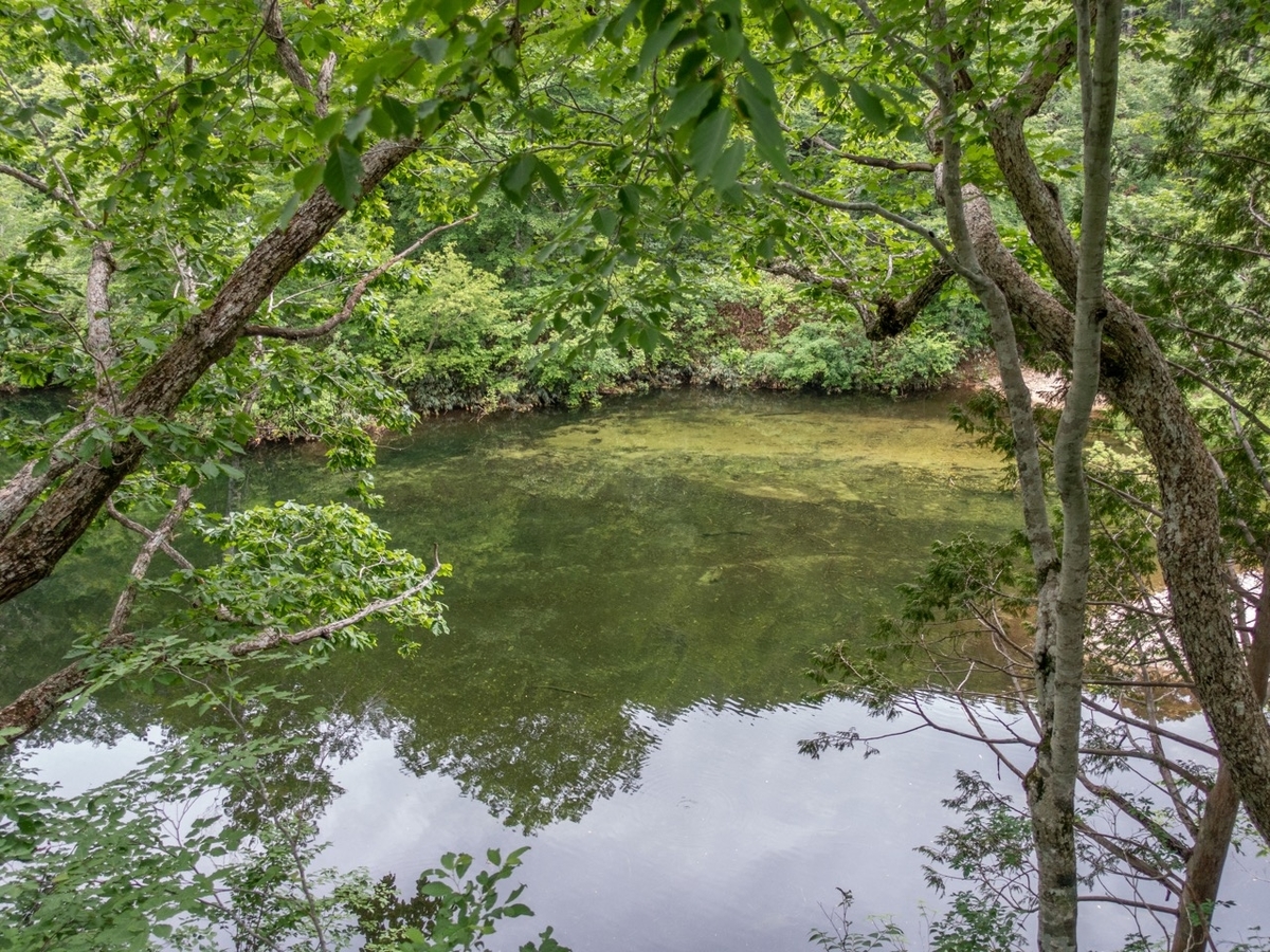 f:id:saetta0404:20190715051125j:plain f:id:saetta0404:20190715051125j:plain