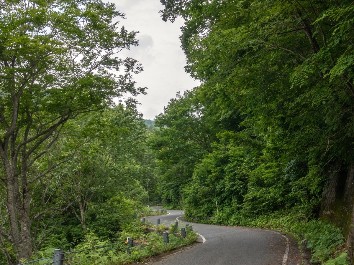 f:id:saetta0404:20190715051157j:plain f:id:saetta0404:20190715051157j:plain