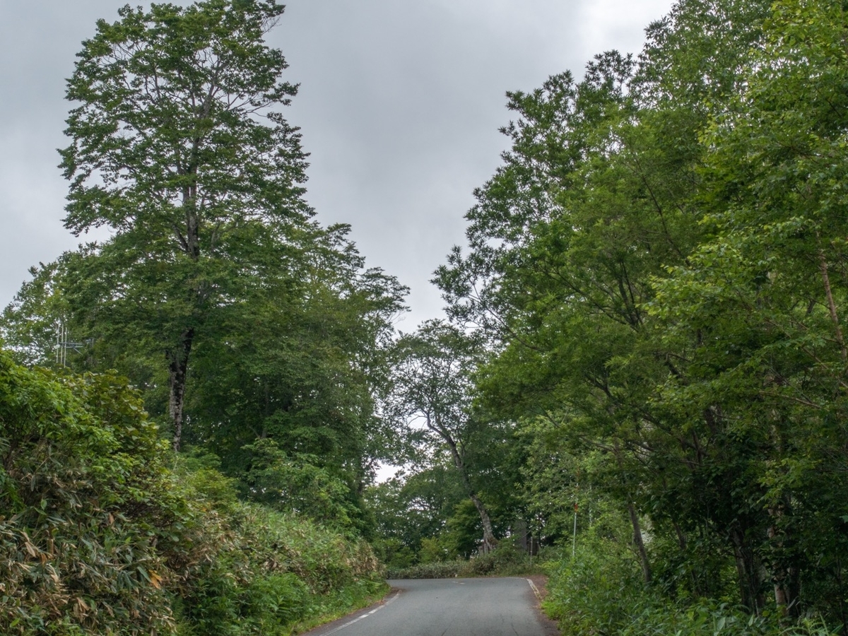 f:id:saetta0404:20190715051249j:plain f:id:saetta0404:20190715051249j:plain