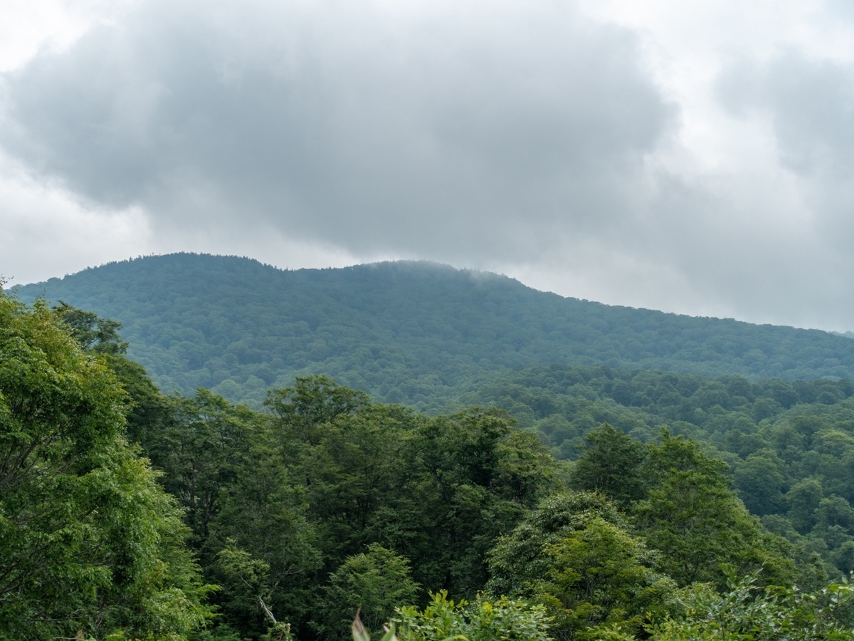 f:id:saetta0404:20190715051535j:plain f:id:saetta0404:20190715051535j:plain