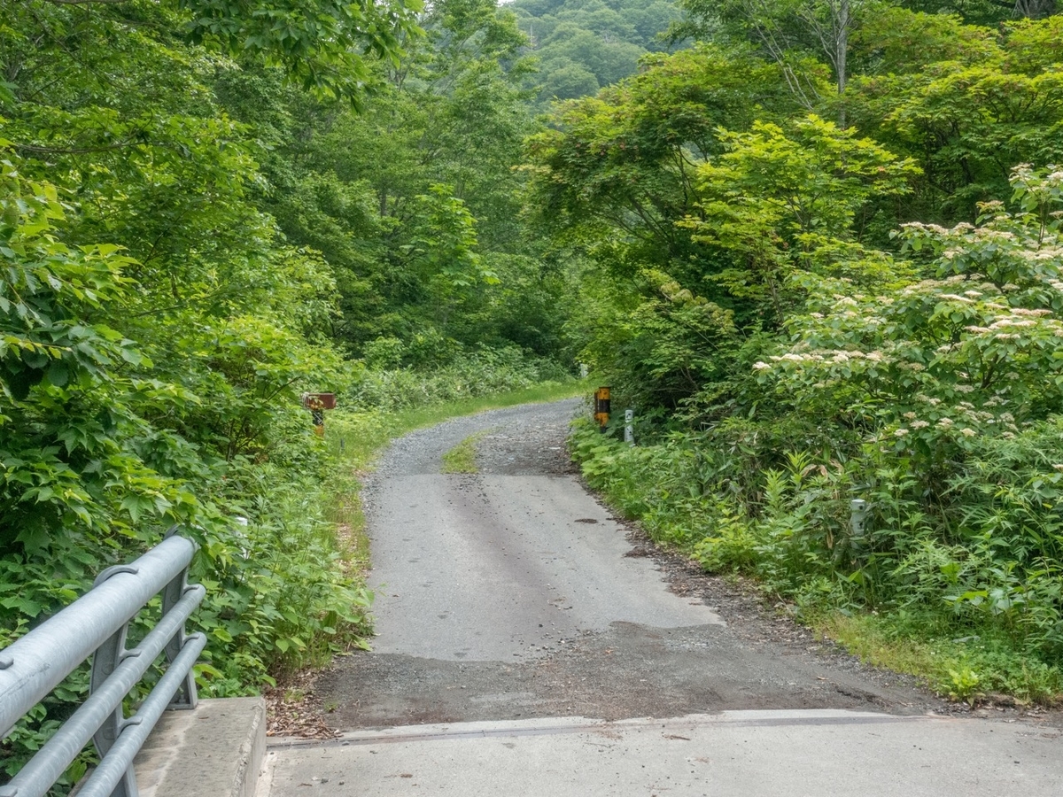 f:id:saetta0404:20190715052359j:plain f:id:saetta0404:20190715052359j:plain