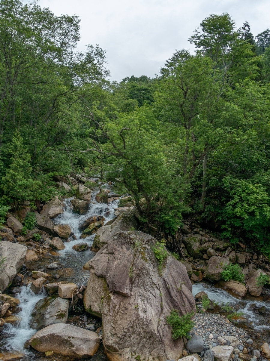 f:id:saetta0404:20190715052522j:plain f:id:saetta0404:20190715052522j:plain