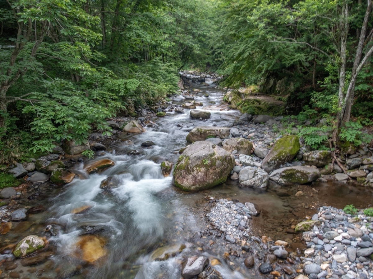 f:id:saetta0404:20190715052632j:plain f:id:saetta0404:20190715052632j:plain