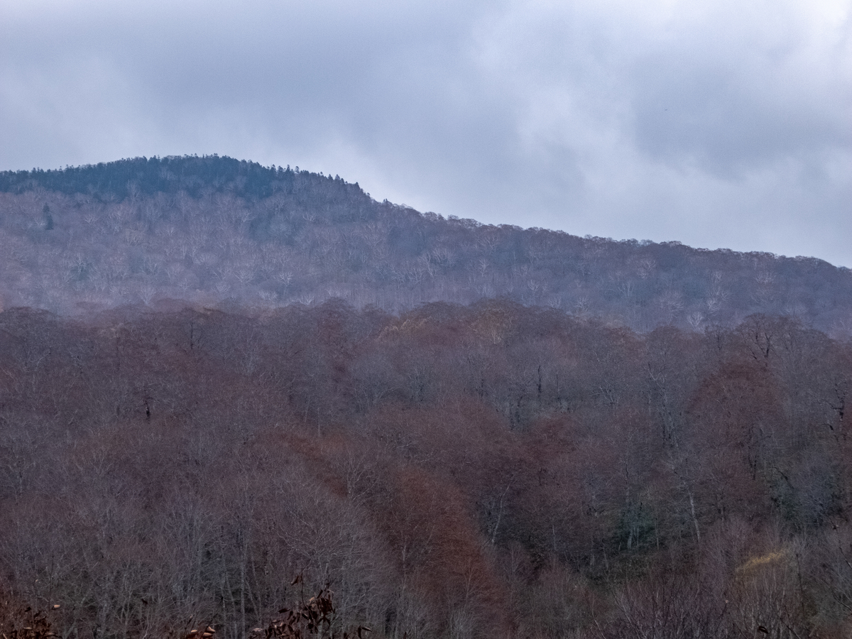 f:id:saetta0404:20190720003403j:plain f:id:saetta0404:20190720003403j:plain