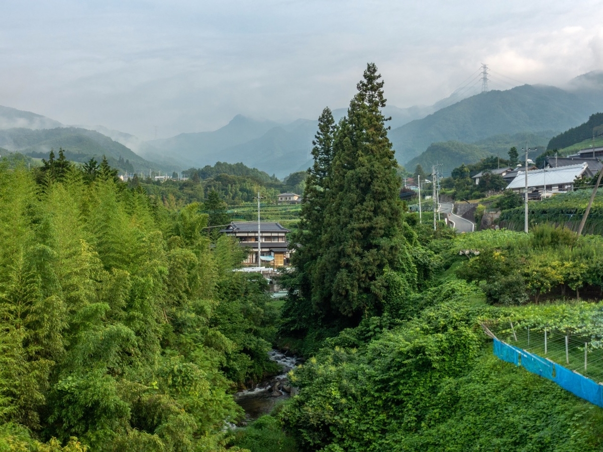 f:id:saetta0404:20190819075549j:plain f:id:saetta0404:20190819075549j:plain