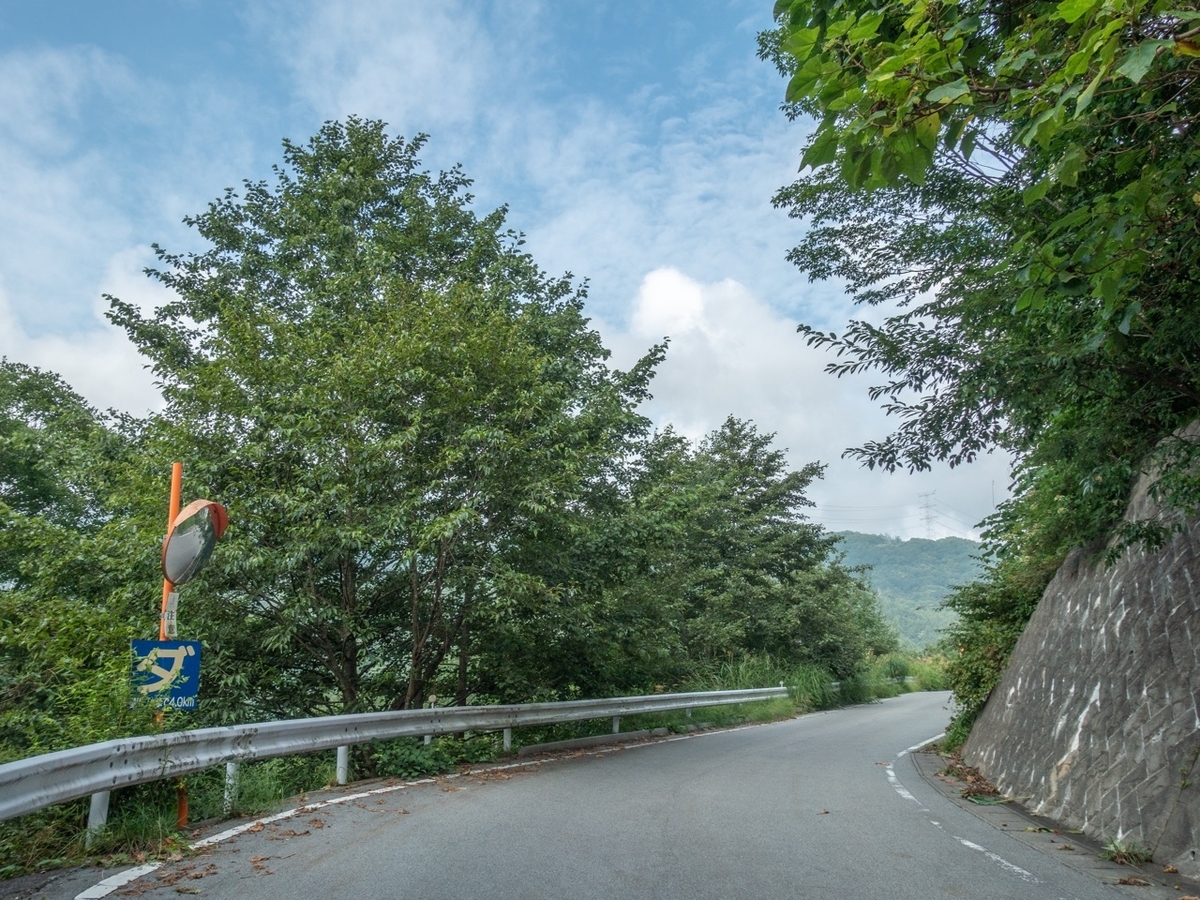 f:id:saetta0404:20190819080033j:plain f:id:saetta0404:20190819080033j:plain