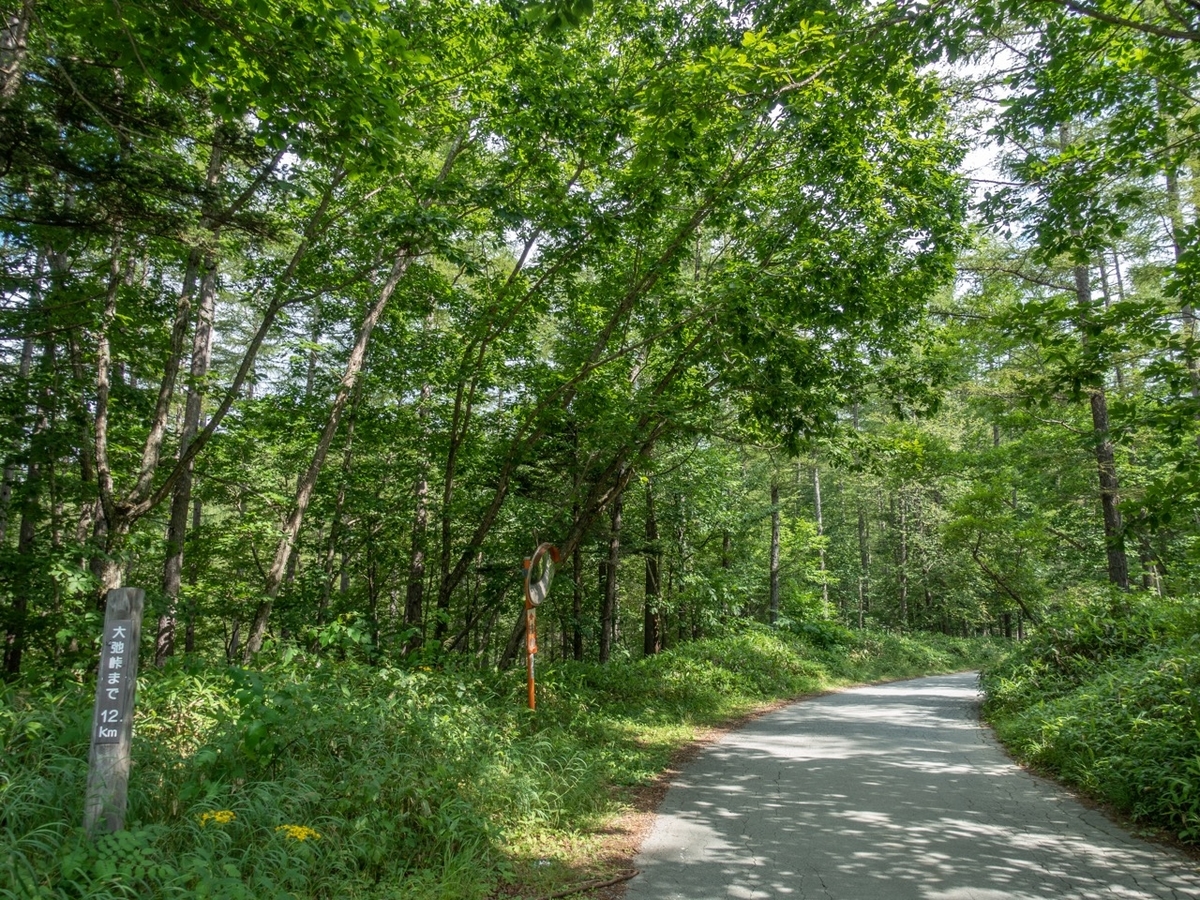 f:id:saetta0404:20190819081009j:plain f:id:saetta0404:20190819081009j:plain