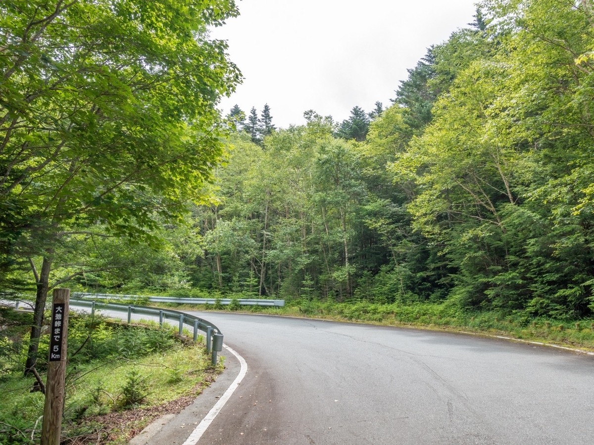 f:id:saetta0404:20190819081242j:plain f:id:saetta0404:20190819081242j:plain