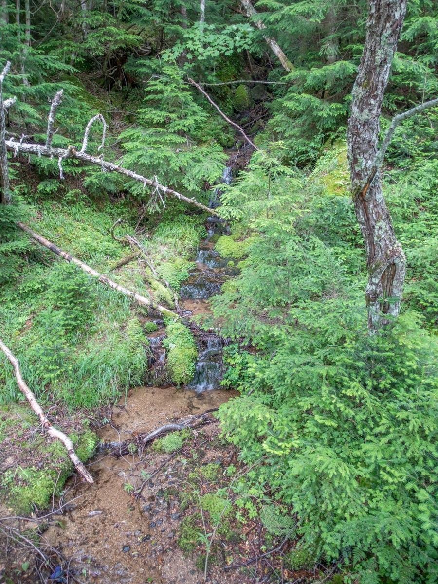 f:id:saetta0404:20190819081317j:plain f:id:saetta0404:20190819081317j:plain