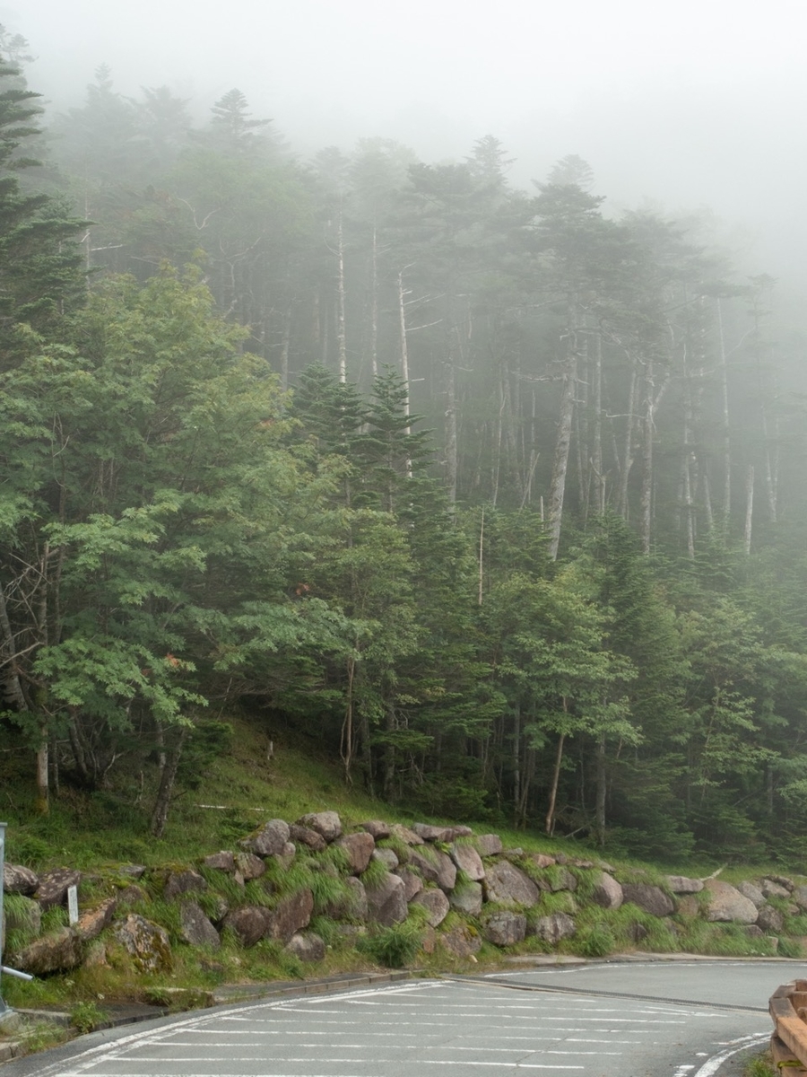 f:id:saetta0404:20190819081739j:plain f:id:saetta0404:20190819081739j:plain