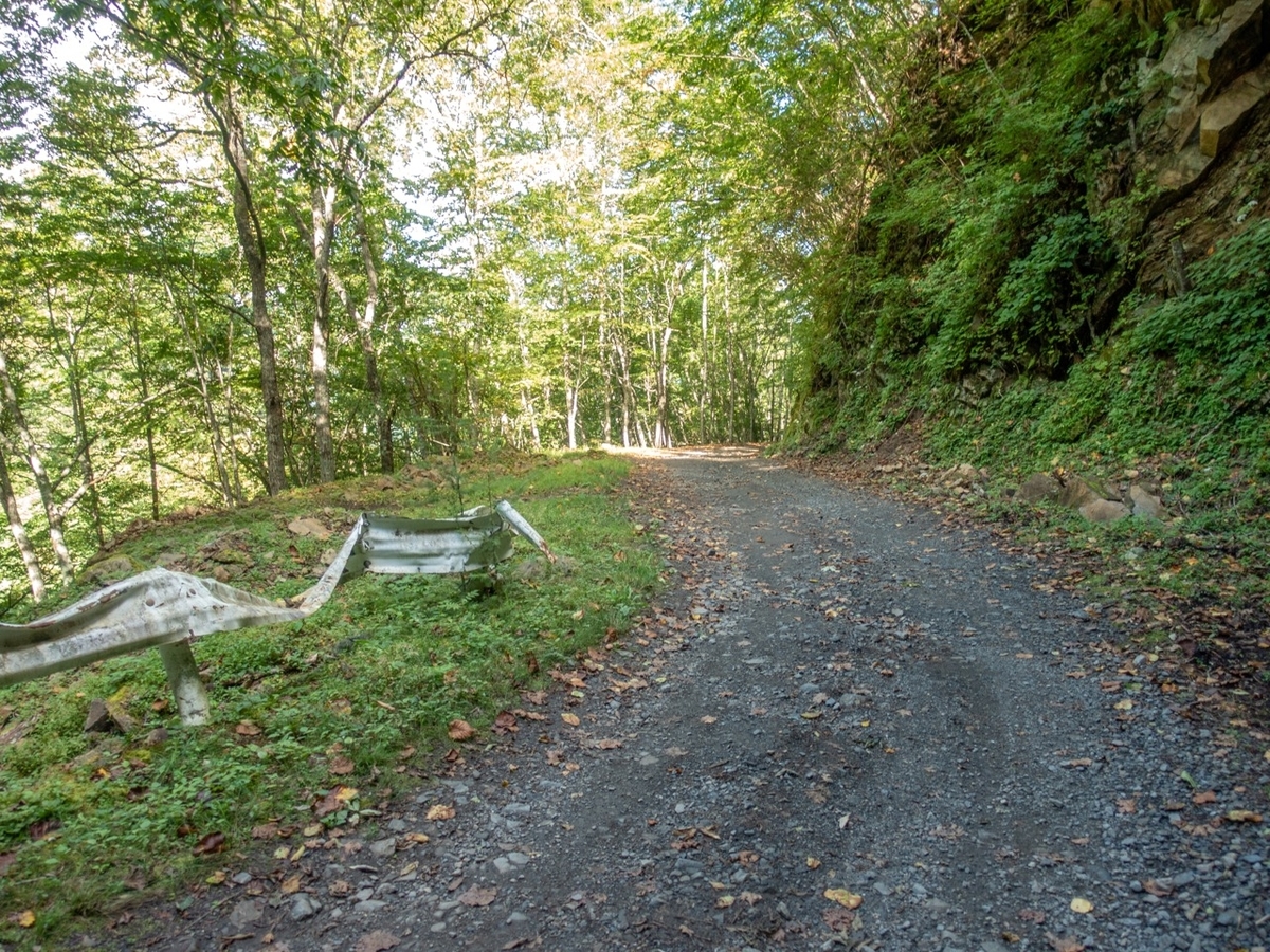 f:id:saetta0404:20190929064439j:plain f:id:saetta0404:20190929064439j:plain