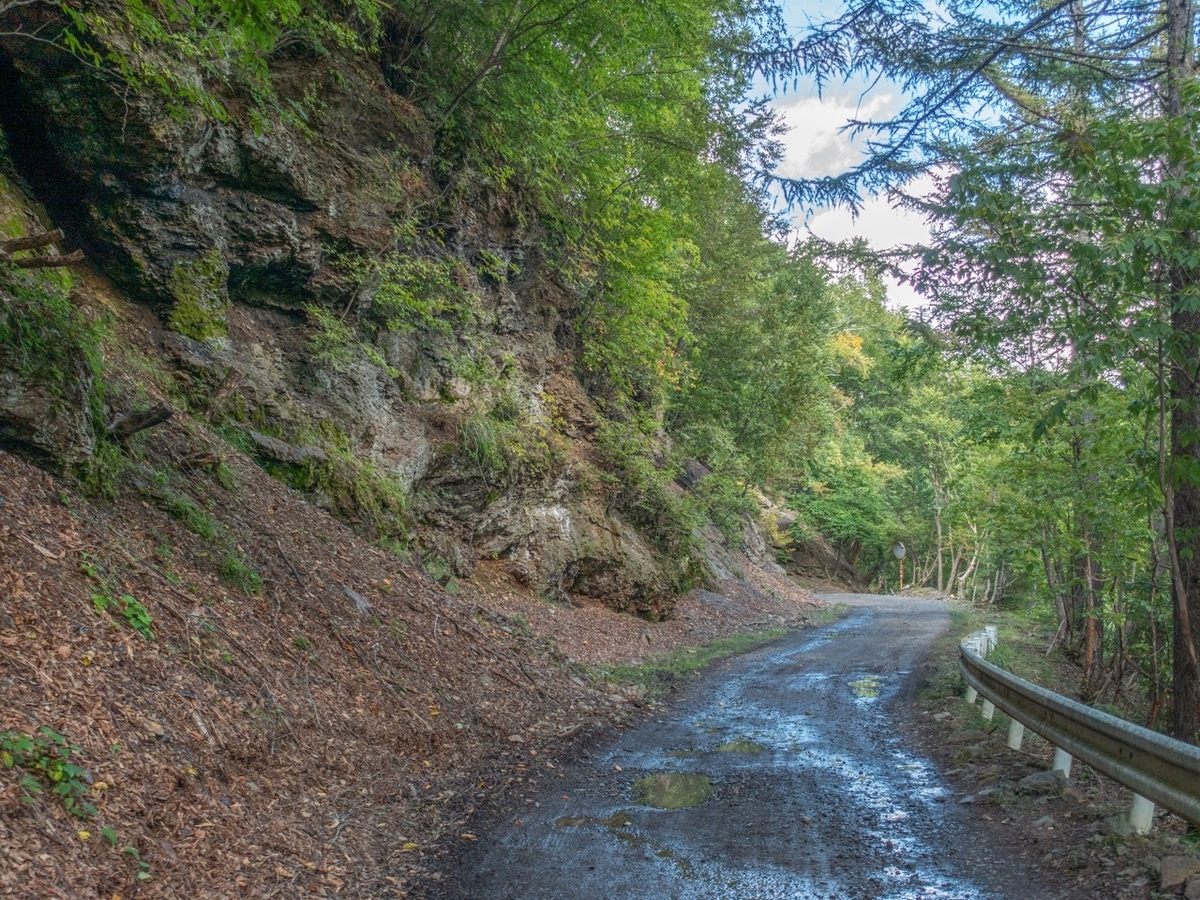 f:id:saetta0404:20190929064515j:plain f:id:saetta0404:20190929064515j:plain