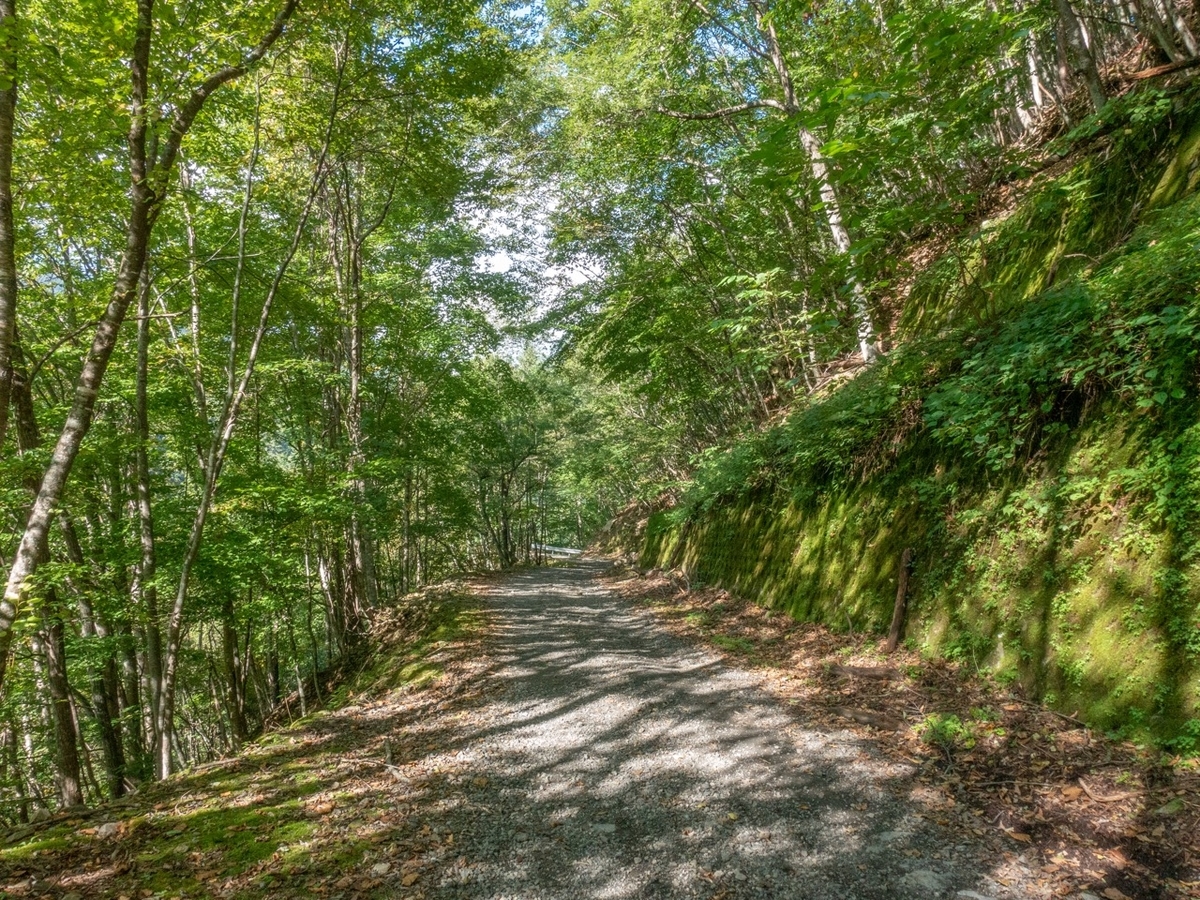 f:id:saetta0404:20190929064850j:plain f:id:saetta0404:20190929064850j:plain