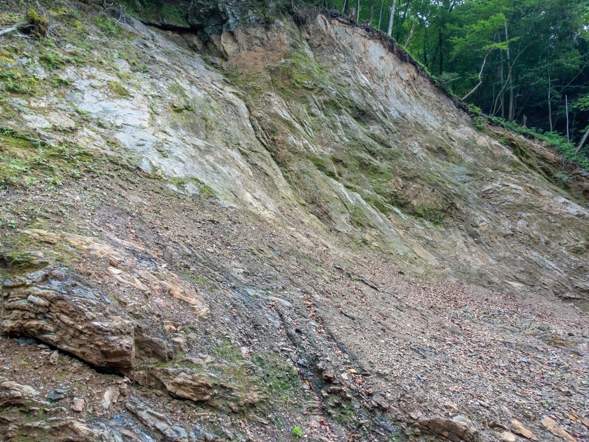 f:id:saetta0404:20191013070723j:plain f:id:saetta0404:20191013070723j:plain