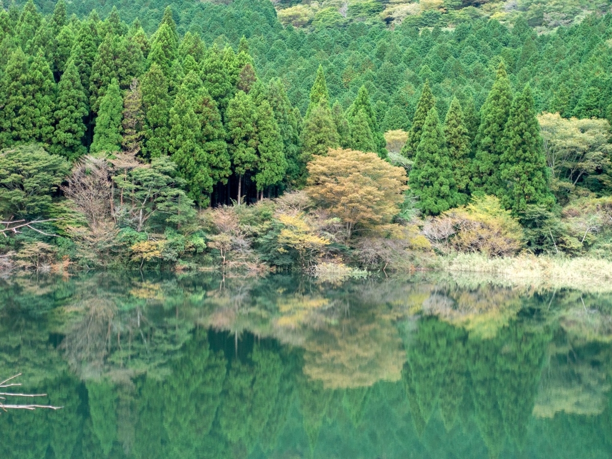 f:id:saetta0404:20191027225524j:plain f:id:saetta0404:20191027225524j:plain