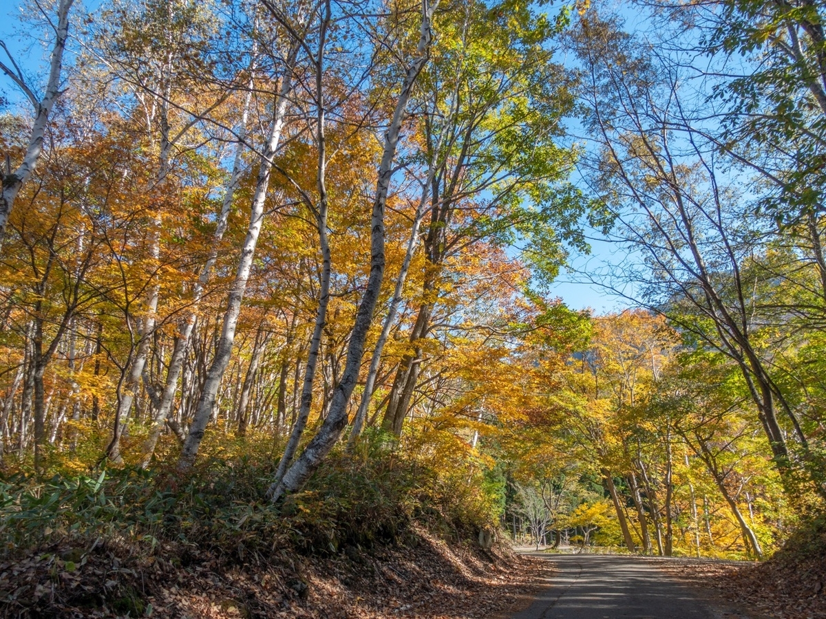 2019-紅葉狩りライド：蒼天の秋山郷を行く - Ride on a ちゃり