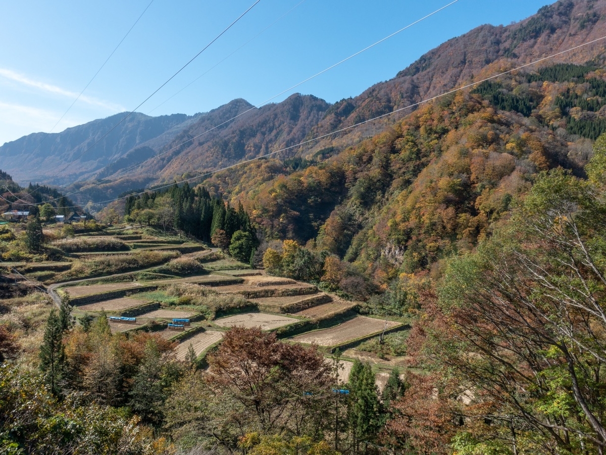 f:id:saetta0404:20191104085839j:plain f:id:saetta0404:20191104085839j:plain