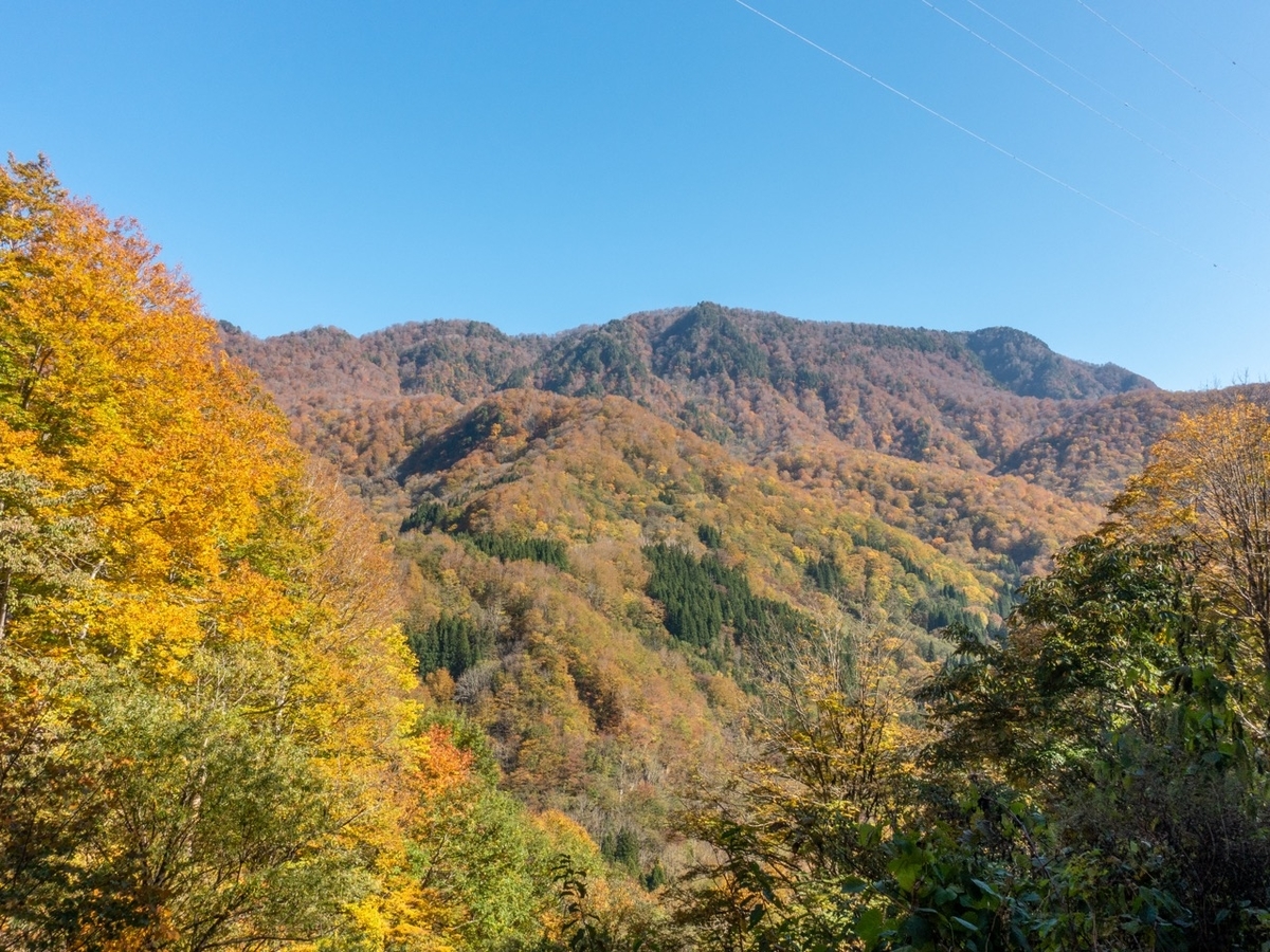 f:id:saetta0404:20191104090520j:plain f:id:saetta0404:20191104090520j:plain