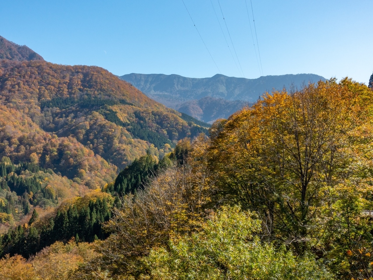 f:id:saetta0404:20191104090548j:plain f:id:saetta0404:20191104090548j:plain