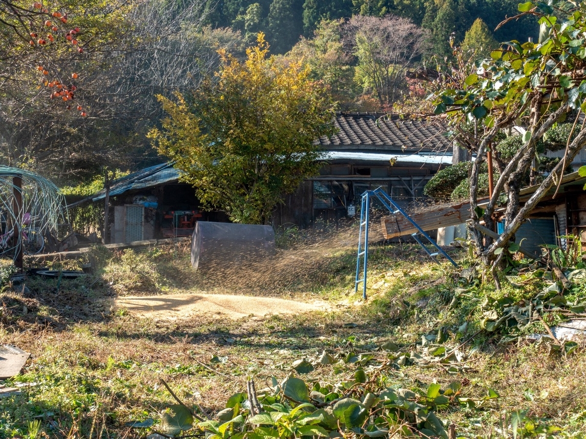 f:id:saetta0404:20191114201447j:plain