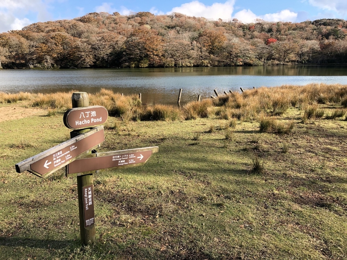 f:id:saetta0404:20191125223332j:plain f:id:saetta0404:20191125223332j:plain