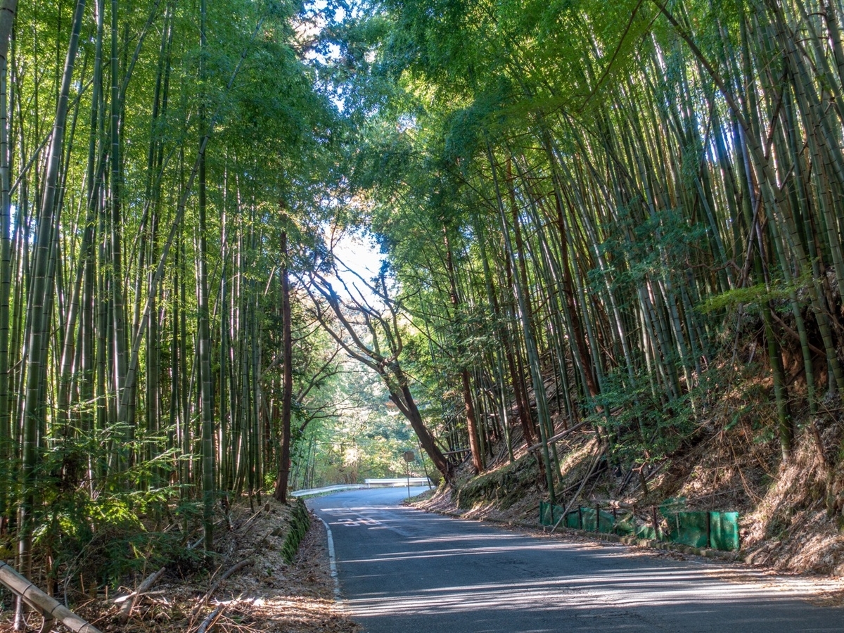 f:id:saetta0404:20191125223610j:plain f:id:saetta0404:20191125223610j:plain