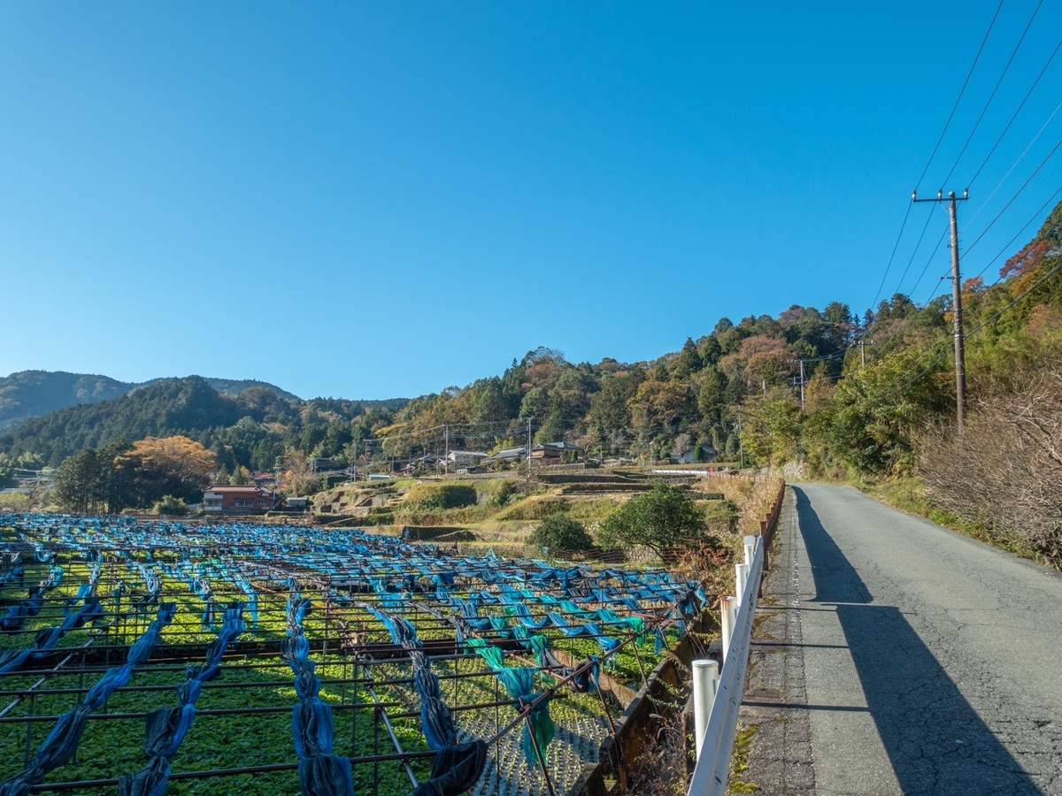 f:id:saetta0404:20191125223751j:plain f:id:saetta0404:20191125223751j:plain