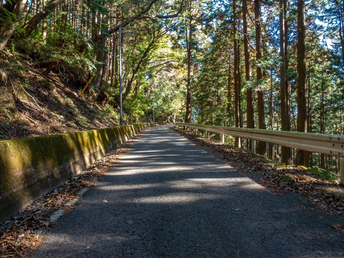 f:id:saetta0404:20191125224142j:plain f:id:saetta0404:20191125224142j:plain