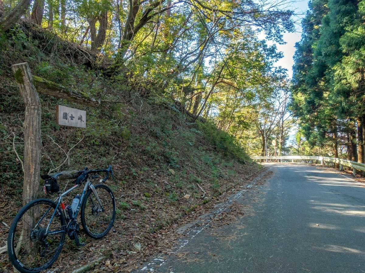 f:id:saetta0404:20191125224207j:plain f:id:saetta0404:20191125224207j:plain