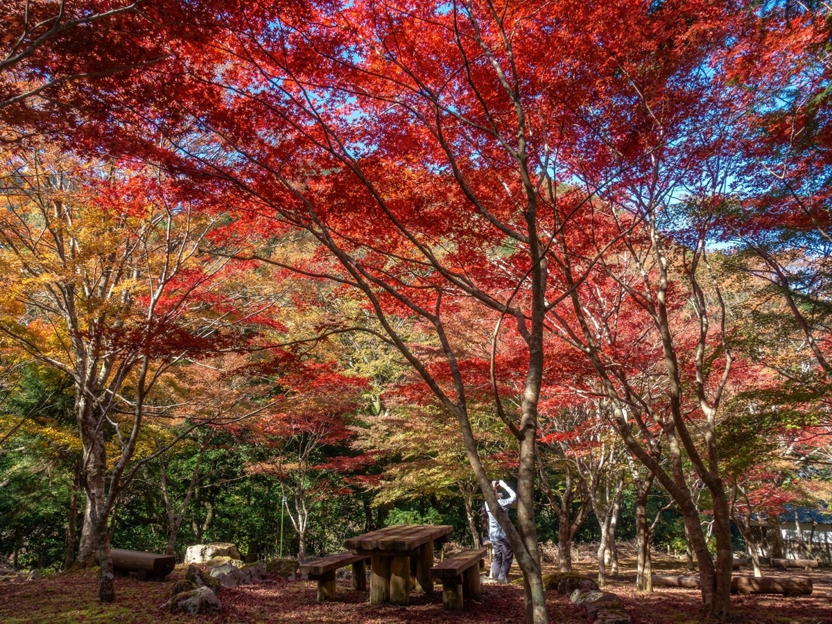 f:id:saetta0404:20191125224302j:plain f:id:saetta0404:20191125224302j:plain