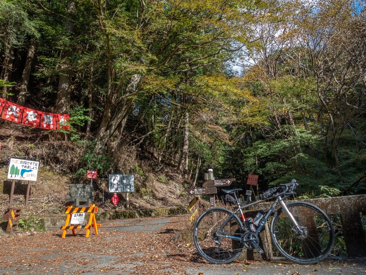 f:id:saetta0404:20191125224603j:plain f:id:saetta0404:20191125224603j:plain