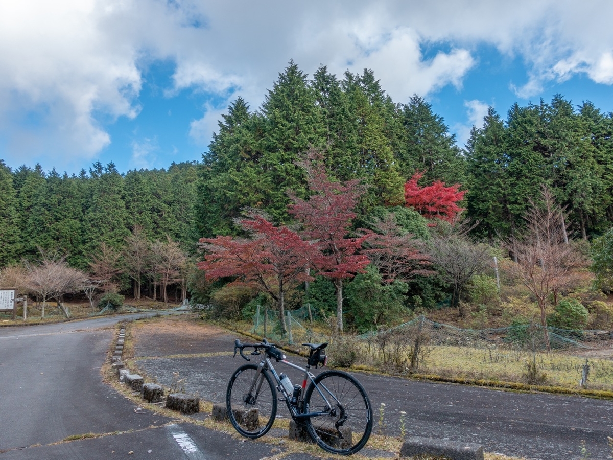 f:id:saetta0404:20191125224650j:plain f:id:saetta0404:20191125224650j:plain