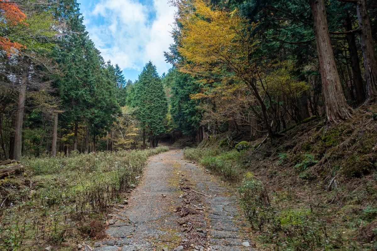 f:id:saetta0404:20191125224718j:plain f:id:saetta0404:20191125224718j:plain