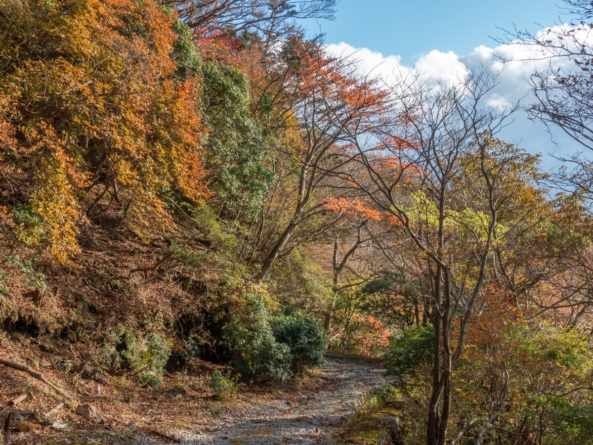 f:id:saetta0404:20191125225352j:plain f:id:saetta0404:20191125225352j:plain