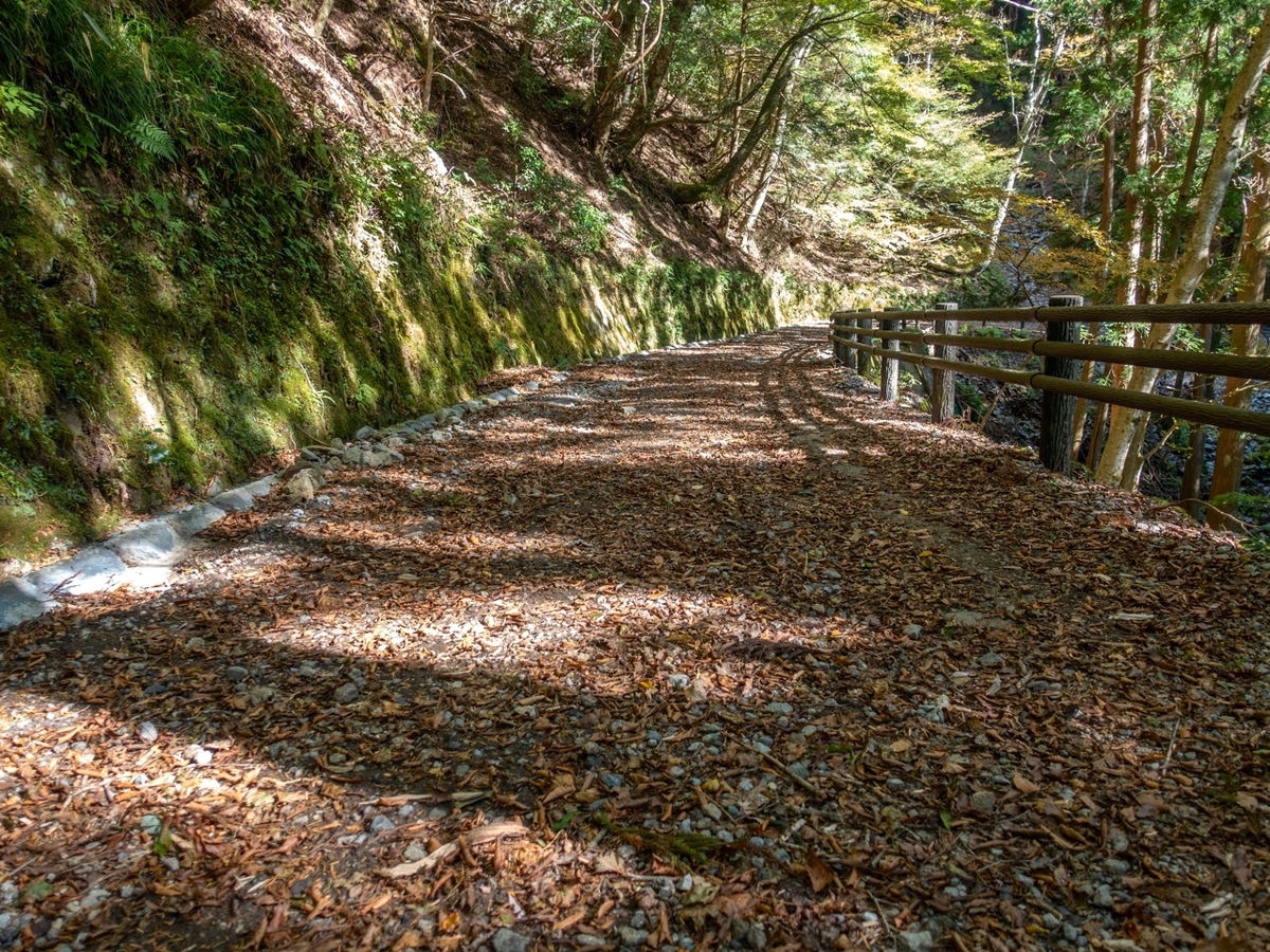 f:id:saetta0404:20191129230648j:plain f:id:saetta0404:20191129230648j:plain