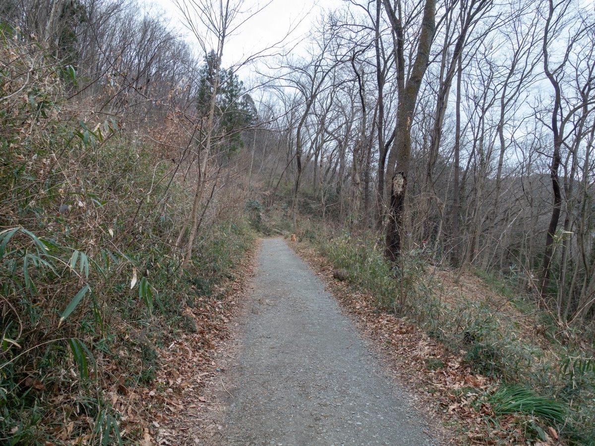 f:id:saetta0404:20200127213702j:plain