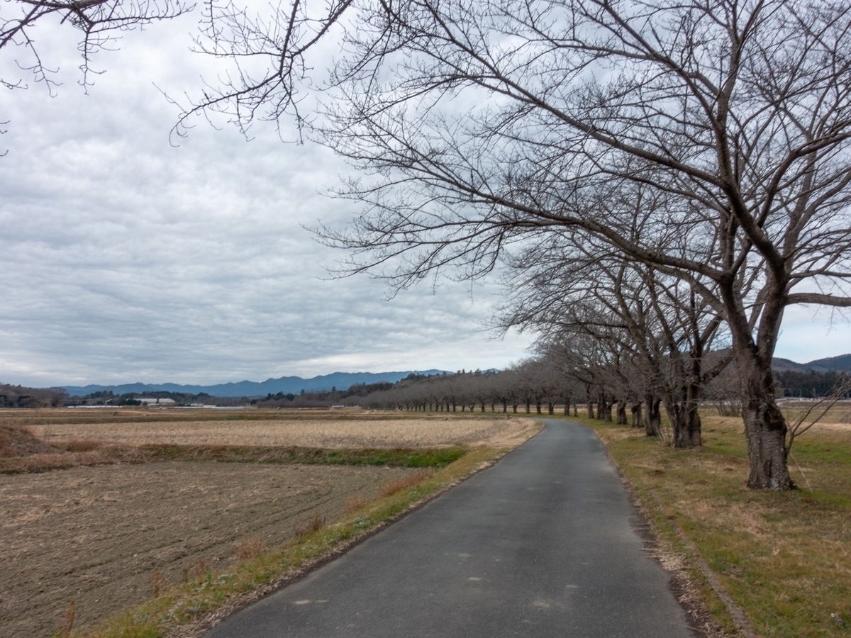 f:id:saetta0404:20200127213838j:plain