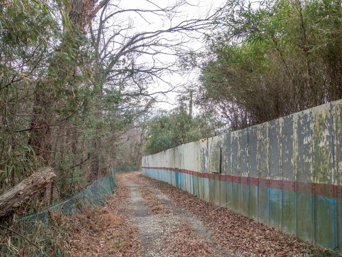 f:id:saetta0404:20200127213949j:plain