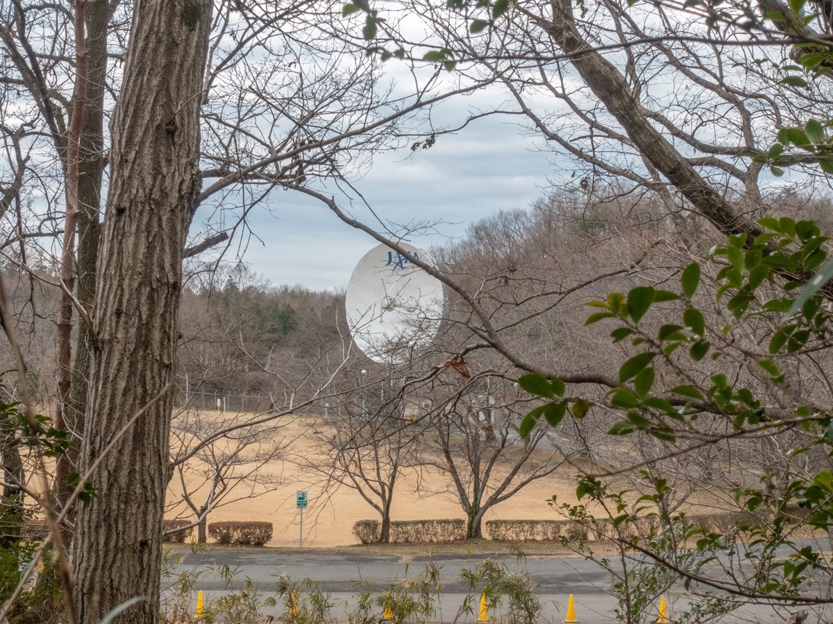 f:id:saetta0404:20200127214037j:plain