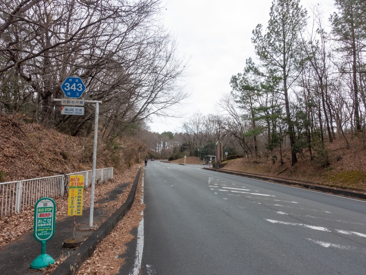 f:id:saetta0404:20200127214129j:plain