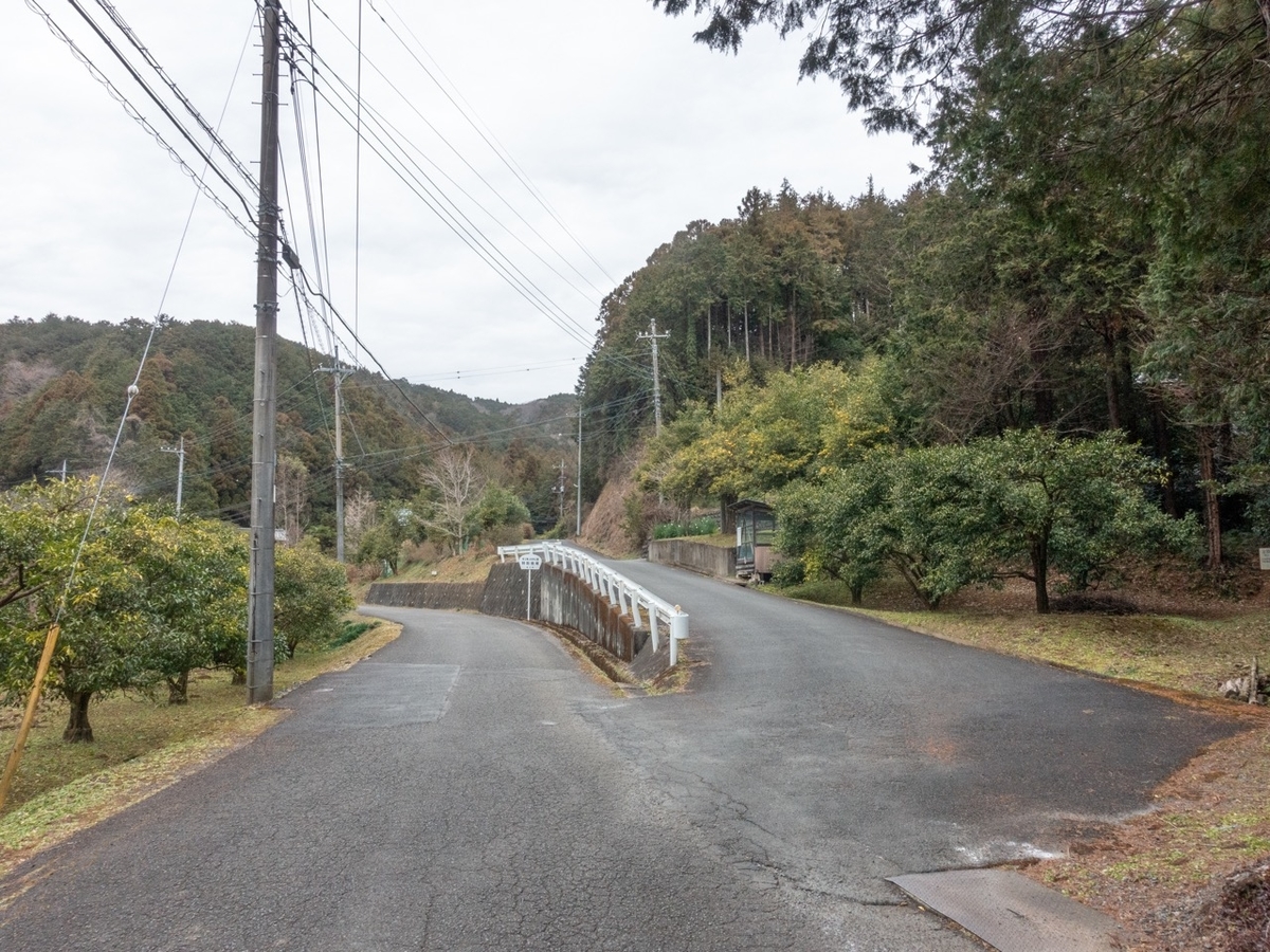 f:id:saetta0404:20200127214344j:plain