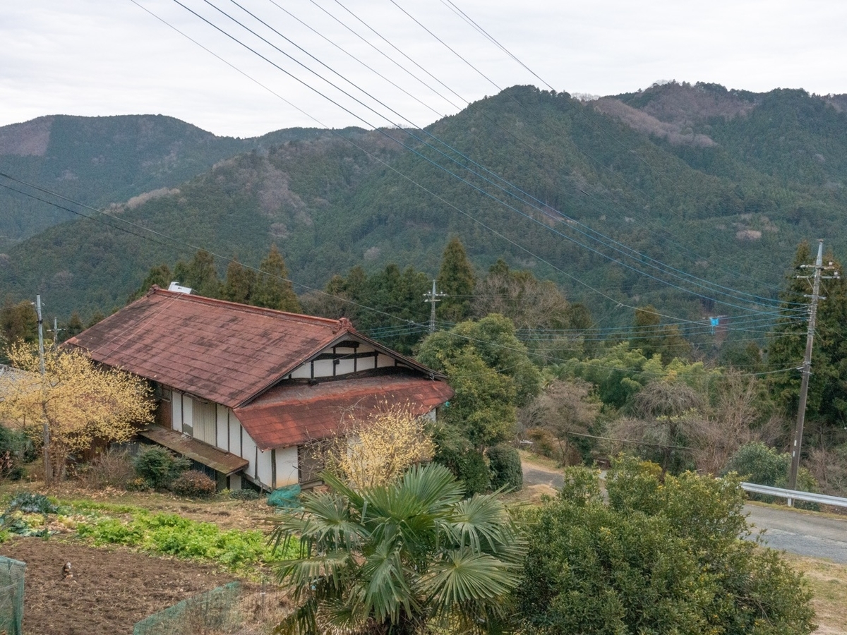 f:id:saetta0404:20200127214706j:plain