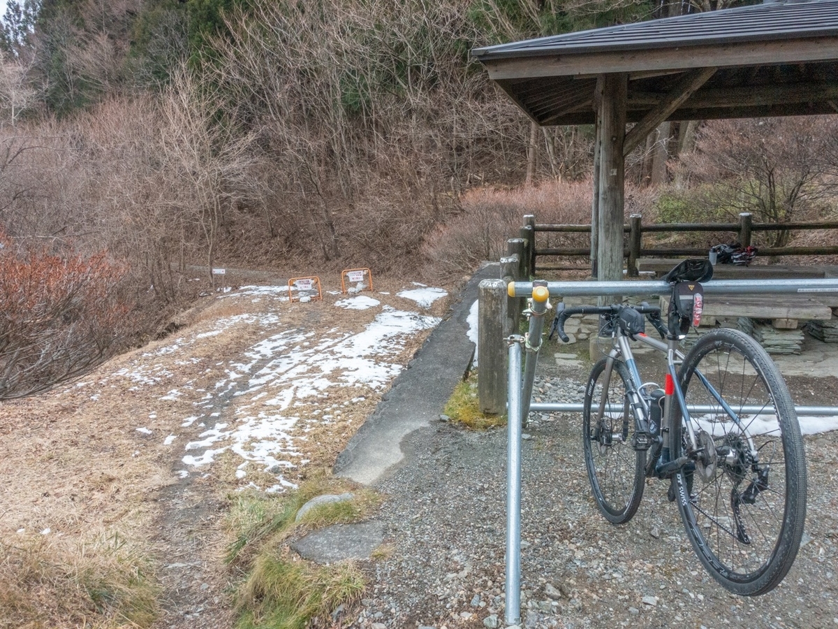 f:id:saetta0404:20200127214917j:plain