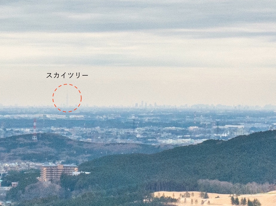 f:id:saetta0404:20200127225012j:plain