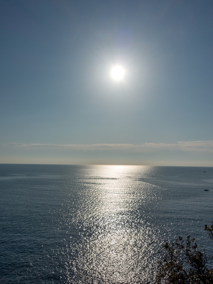 f:id:saetta0404:20200209215354j:plain f:id:saetta0404:20200209215354j:plain